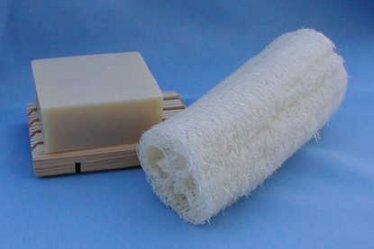 Loofah Sponge