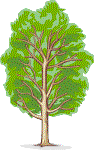 F.O.L.C. logo